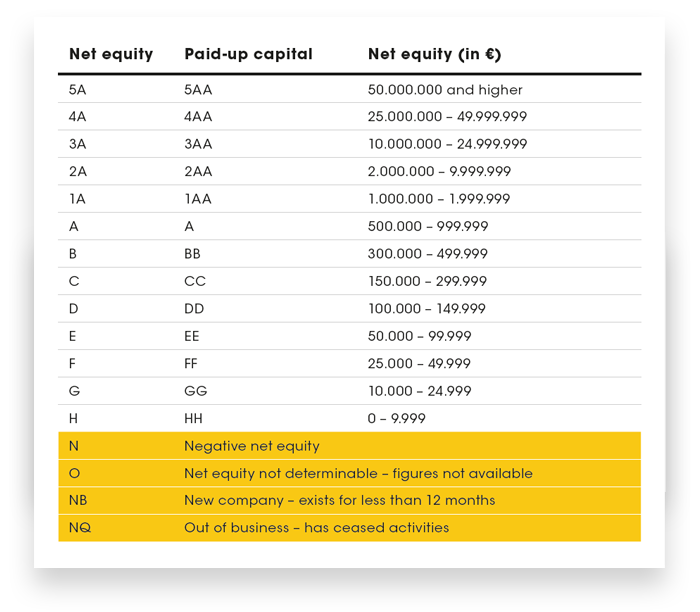 D&B Rating Elements