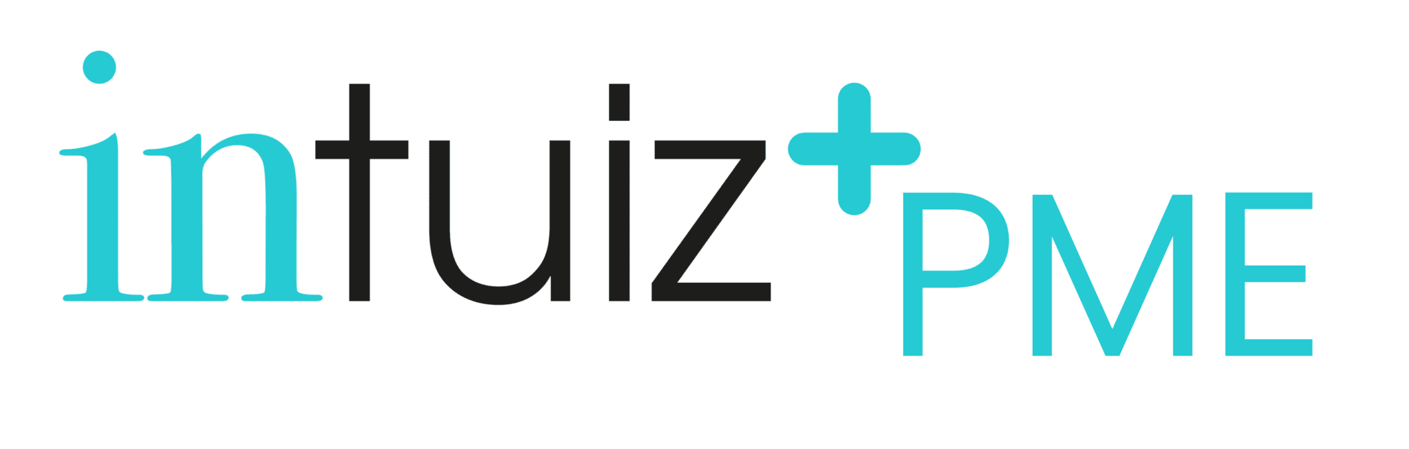 logo intuiz+ pme