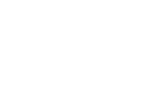 logo_provigis_by_freelance